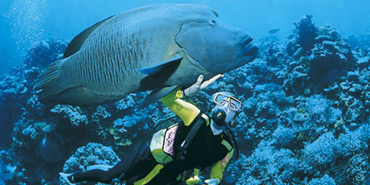 Sharm El Sheik – bajeczny podwodny świat
