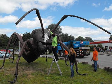 W wiecie gigantycznych insektw