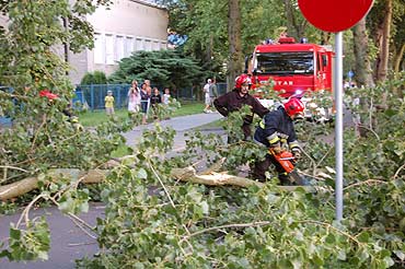 Gałąź runęła na chodnik