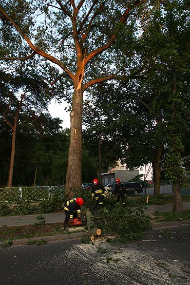 Gałąź runęła na chodnik