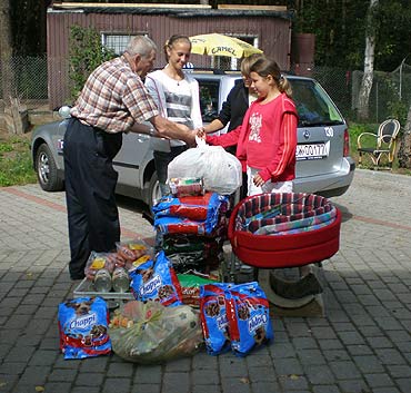 Zote serce dziewczt
