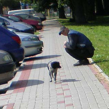 Uwaga na agresywne psy!