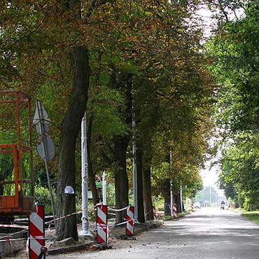 Oświetlą Krzywą i drogę prowadzącą do Kamminke