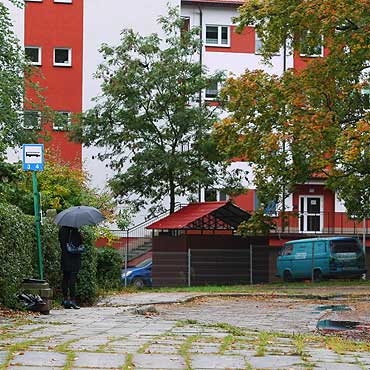 Mieszkacy Krzywej: Postawcie nam wiat