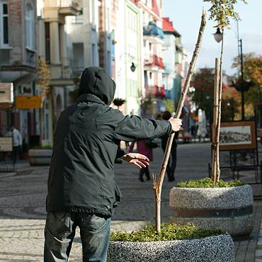 Drzewko jest poamane od kilku dni. Nikomu to nie przeszkadza