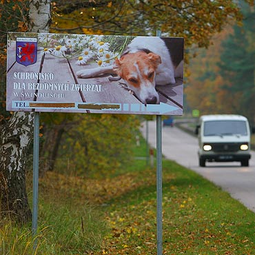 Nie mogły adoptować psa