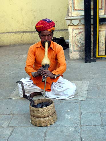 Namaste – witamy w świecie barw Indii