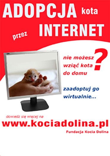 Fundacji „Kocia Dolina” 