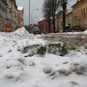 Klęska bezradności