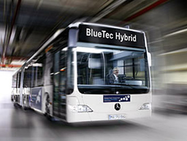 Jakie autobusy maj jedzi po winoujciu? 