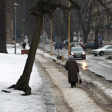 Musz chodzi po brudnym i mokrym niegu 