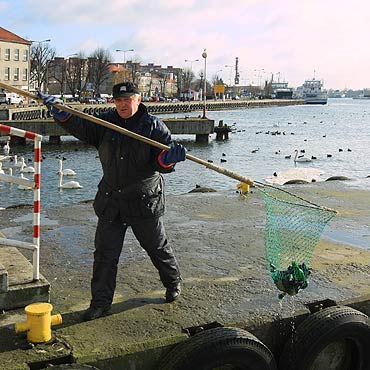 Wyciągali martwe ptaki z kanału