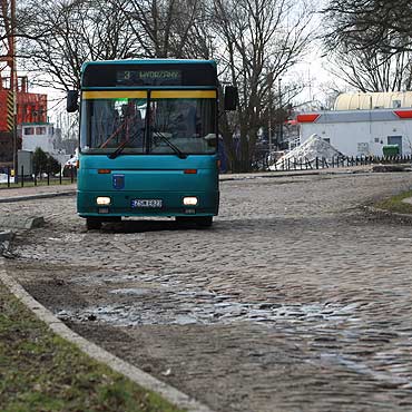 Kocie by przeszkadzaj. Szkoda nowych autobusw!