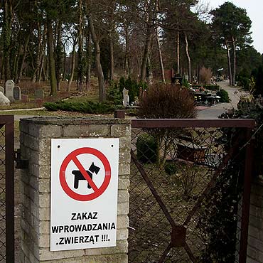 Zwierzta te umieraj - czy zasuguj na cmentarz?<br /> Zobacz film!