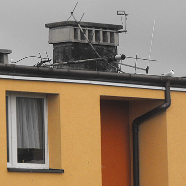 Antena moe spa na gowy przechodniw! 