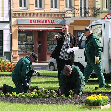 Przeom w ukwieceniu miasta!