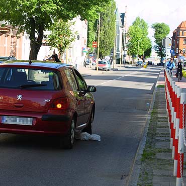 Samochd przejecha pieska na oczach 13-letniej dziewczynki