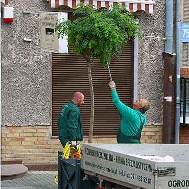Dbaj o ziele na deptaku 
