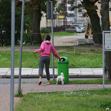 Pokazujemy jak sprzta po swoich psach