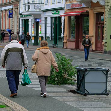 Wandale znw poprzewracali drzewka na deptaku