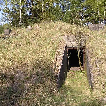 Czupakabra terroryzuje Świnoujście