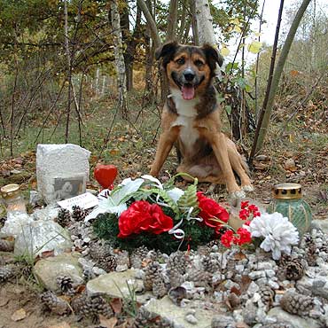 Zwierzaki to nie mieci. Zasuguj na godny pochwek…
