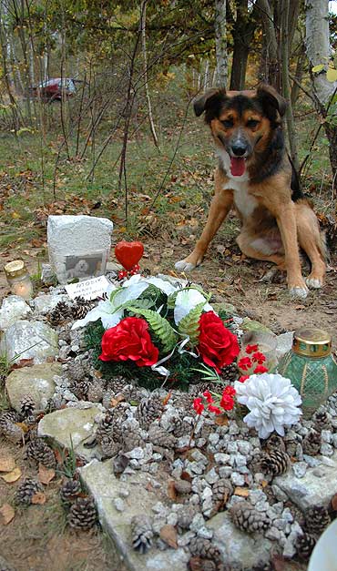 Zwierzaki to nie śmieci. Zasługują na godny pochówek…