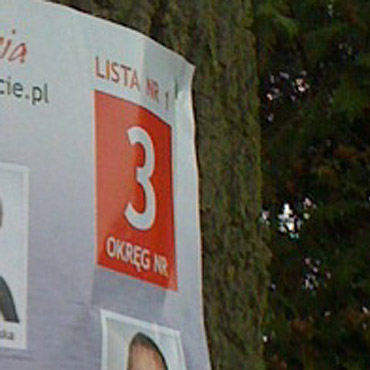 Przybijają plakaty do drzew
