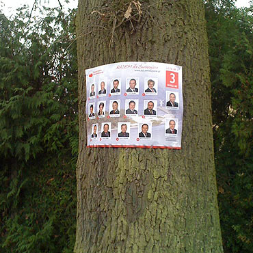 Przybijają plakaty do drzew