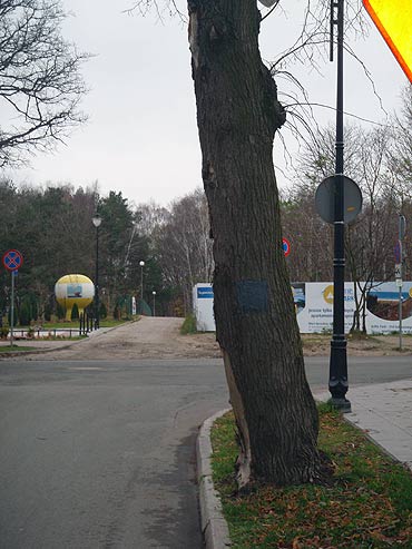 Prezydent lekceważy przewoźników