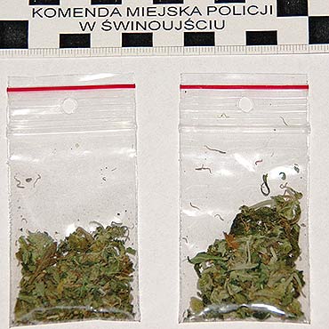 Mężczyźni zatrzymani, narkotyki zabezpieczone