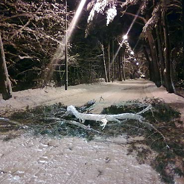Gazie ami si jak zapaki. Nie parkuj pod drzewami