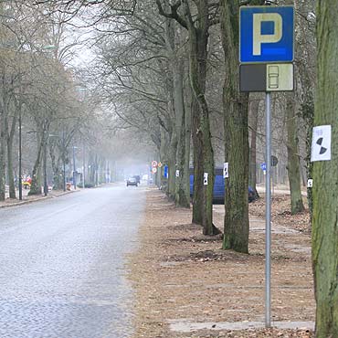 Na razie jest las. A będzie ogromna hala handlowa. Czy dobrze, że przy samej granicy?