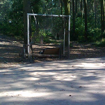 Fatalne boisko na Warszowie 