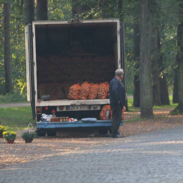 To jest dopiero nielegalny handel 