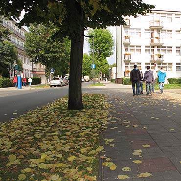Przysza jesie. Licie lec z drzew… Ju je sprzta czy jeszcze poczeka? 