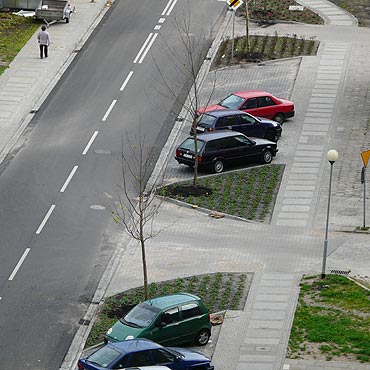 Posadzili drzewa za niemale 40 tysicy zotych 