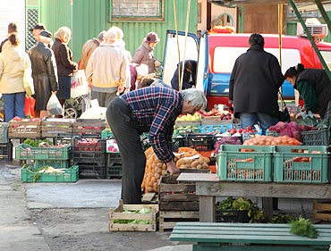 Ankieta w sprawie targowiska miejskiego