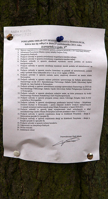 Program Sesji Rady Miasta na… drzewie!