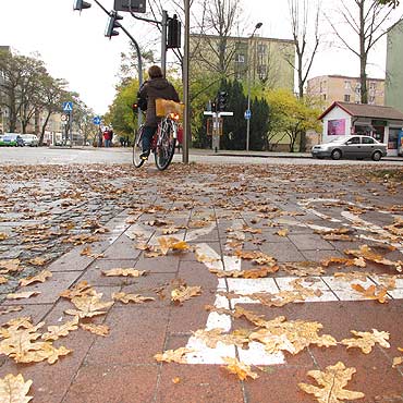 Licie zalegaj na ciekach rowerowych 