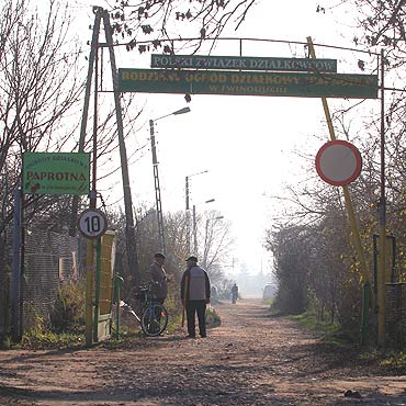 Kupa na dziakach
