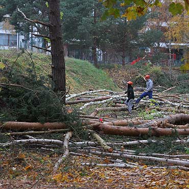 Przygotowuj teren pod budow molo! 