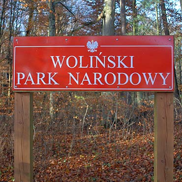 CBA kontroluje Woliski Park Narodowy