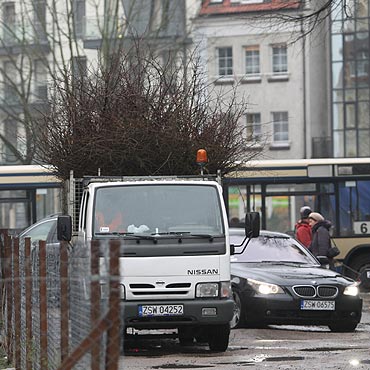 Przycięli drzewa przy Armii Krajowej