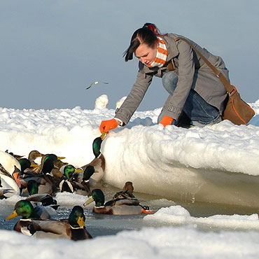 Brrr... zimno. Bdzie jeszcze mroniej!