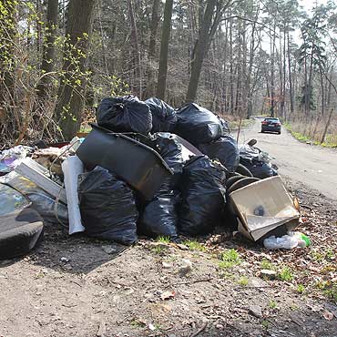  mieci w lesie nie s podrzucone. To pozbierane z caego terenu odpadki