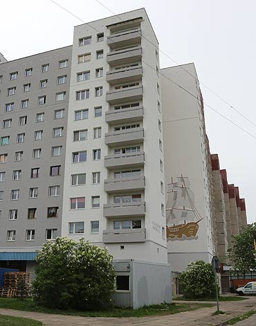 Ktoś wymordował gołębie