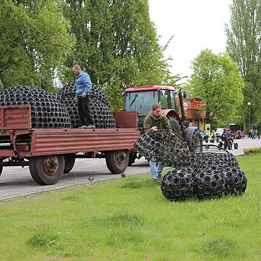 53 tys. kolorowych sadzonek ozdobi winoujcie