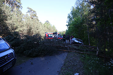 Straci kontrol nad pojazdem i roztrzaska auto na drzewach