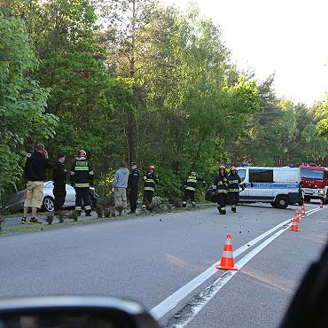 Straci kontrol nad pojazdem i roztrzaska auto na drzewach